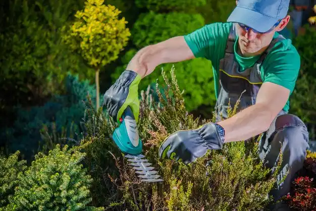 landscaping services Emlyn